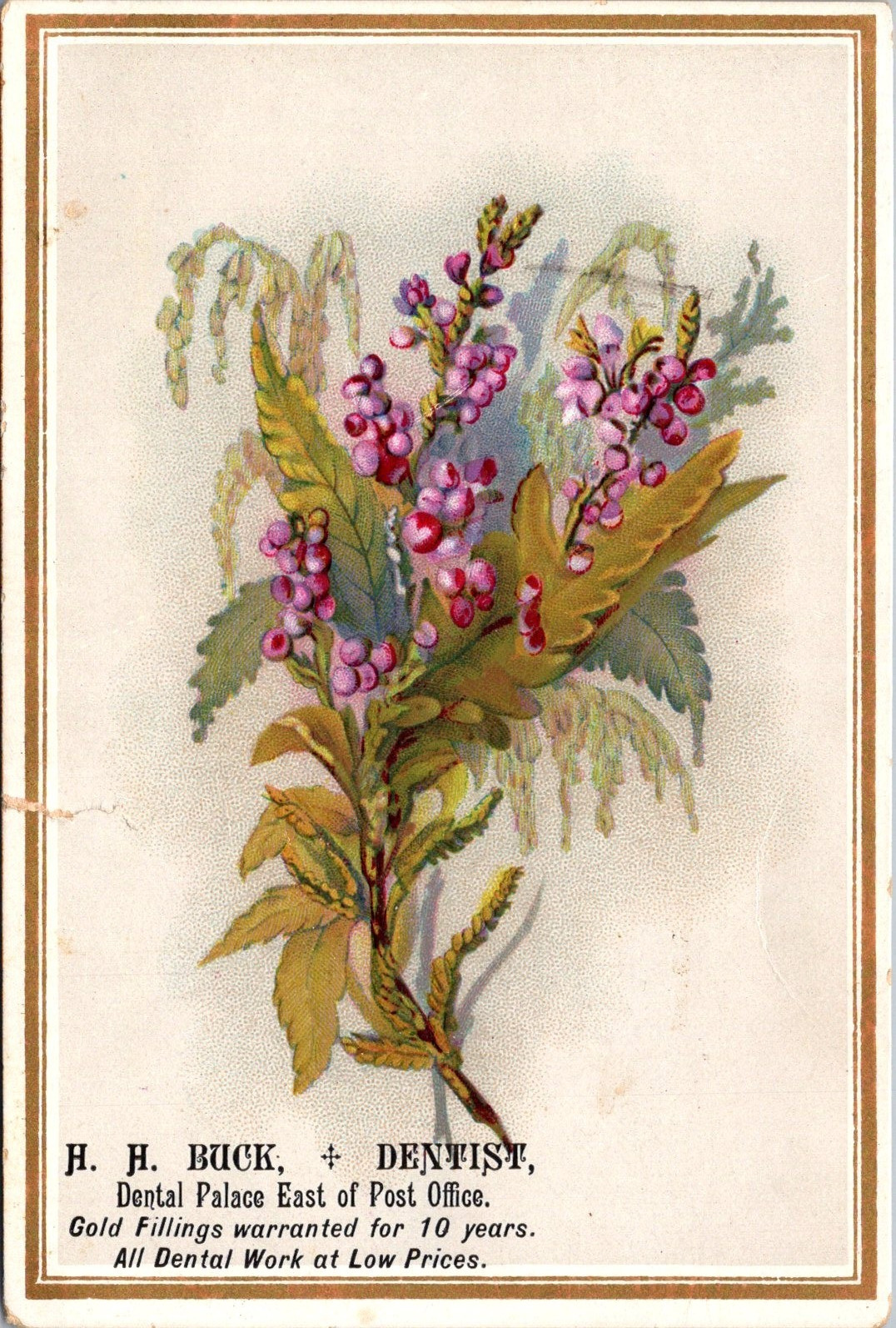 H H Buck Dentist Dental Palace Cleveland Ohio Floral Spray SPV1