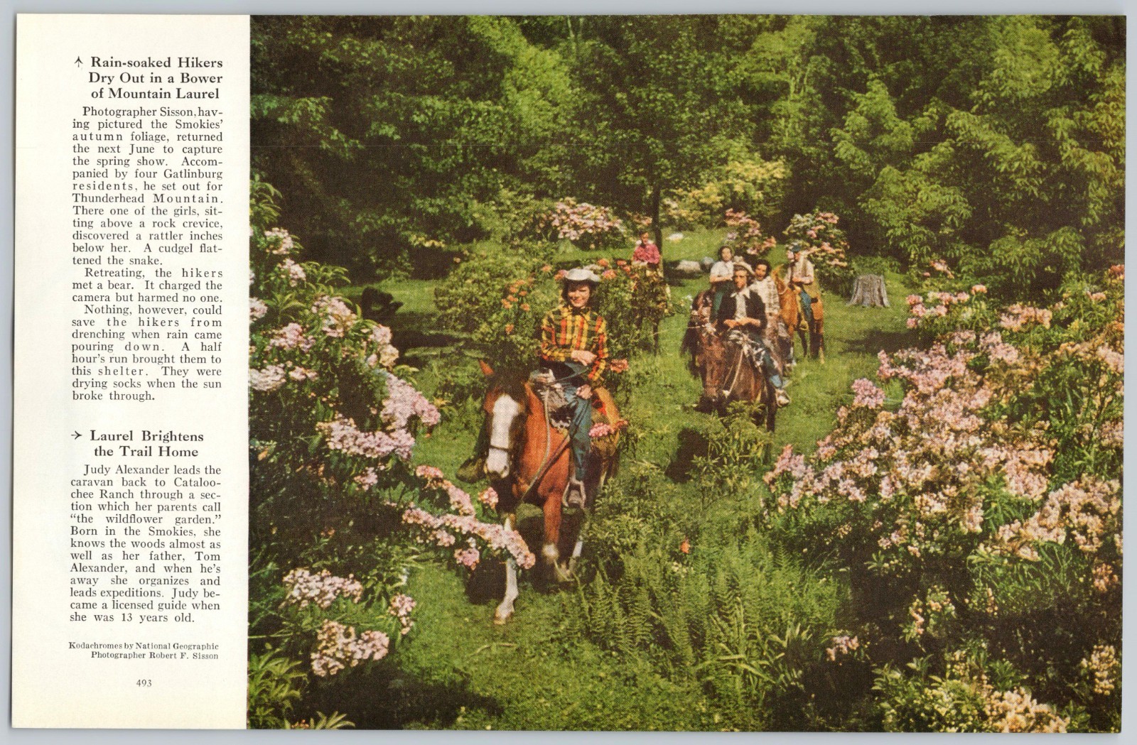 1952 Mountain Laurel Hikers & Trail Ride Smoky Mountains 2 Nat Geo Print Photos