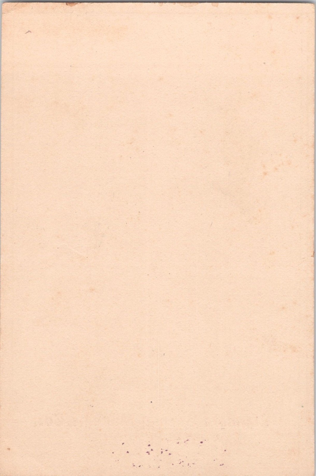 Standard Sewing Machine Co Cleveland – L.M. Webb Addison, NY – Trade Card