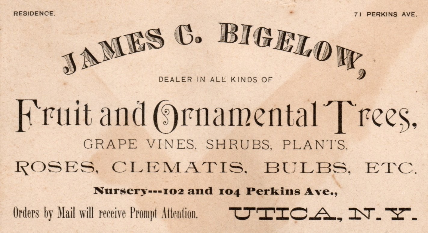 James G. Bigelow Fruit & Ornamental Trees Victorian Trade Card Utica, N.Y.
