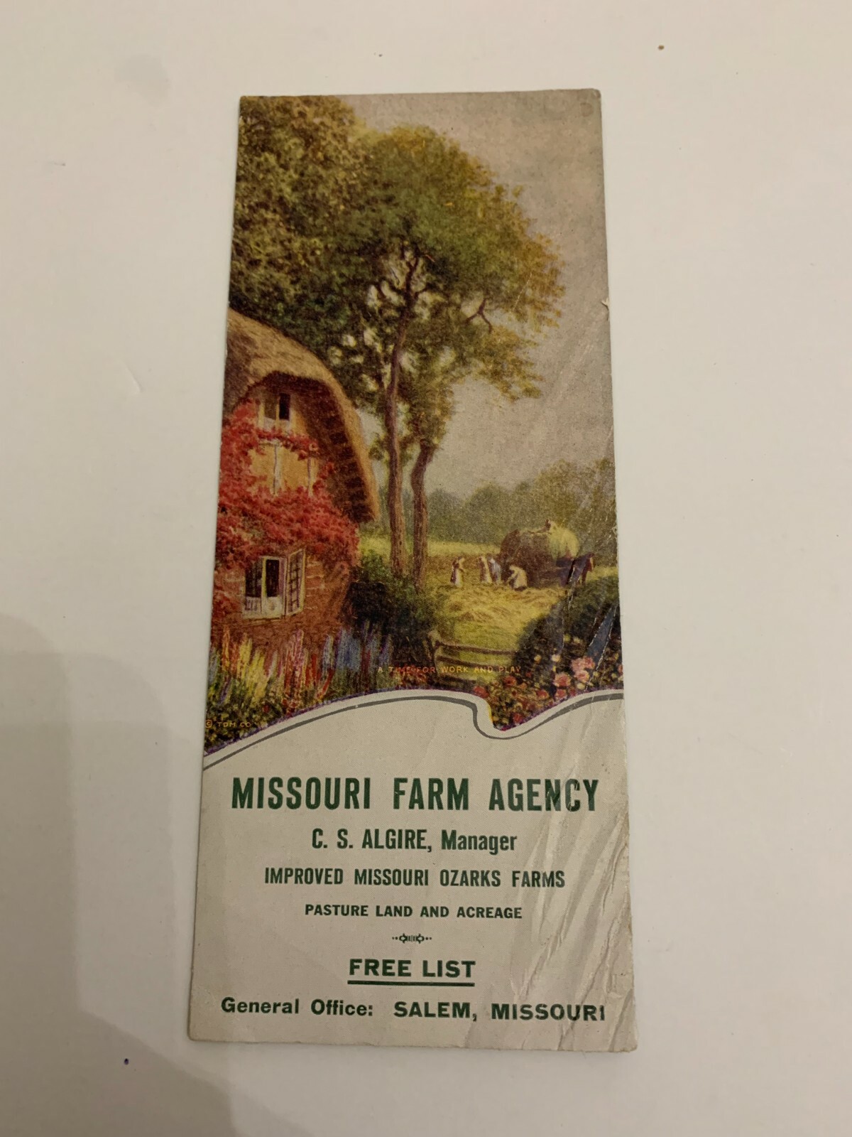c.1930 Missouri Farm Agency Salem Missouri Advertising Ink Blotter