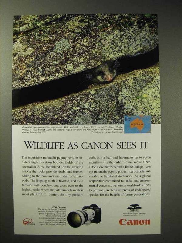1997 Canon EOS-1N RS Camera Ad – Mountain Pygmy-Possum
