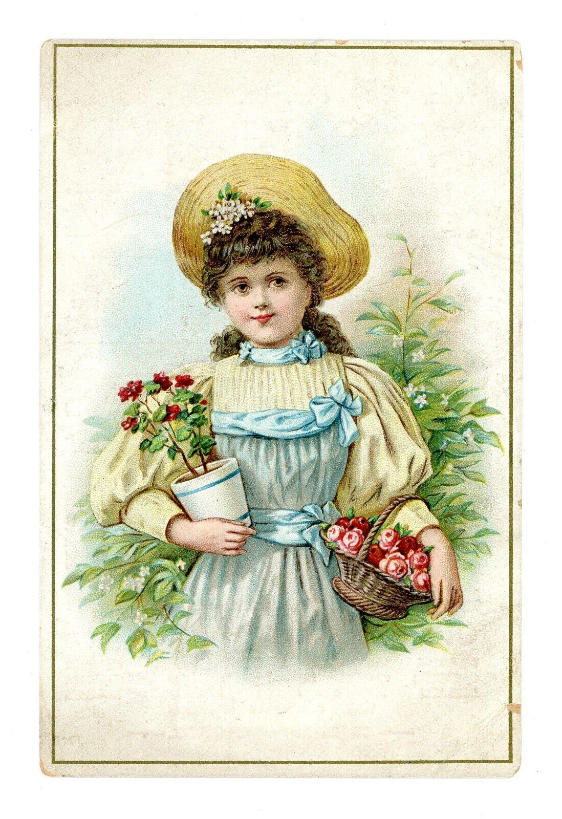 C.D. Kenny Tea & Coffee Roaster Sugar Trade Card Large w/ Girl and Flowers