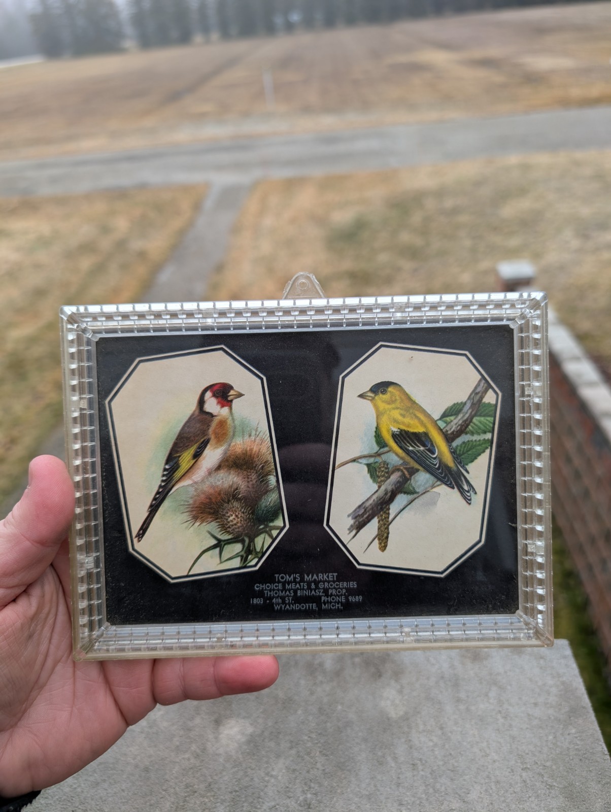 Tom’s Market Advertising Sign Wyandotte Michigan MI Thomas Biniasz Birds On It
