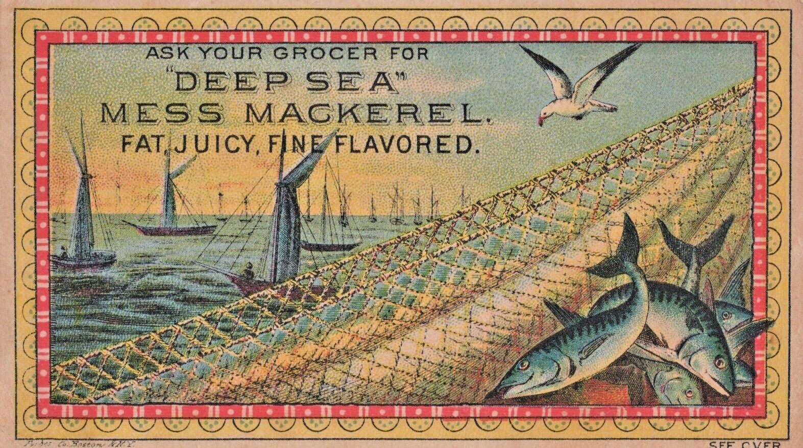 Deep Sea Mess Mackerel Fish Net Grocer Victorian Trade Advertising Card A4W