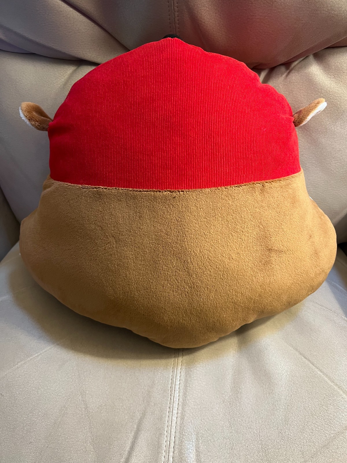 Buc-ee’s Bucees Plush Beaver Head 15” Large Throw Pillow Stuffed Animal