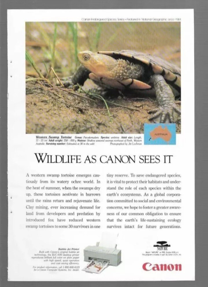 1994 Wildlife as Canon Sees It PBS Nature Western Swamp Tortoise Vintage Ad