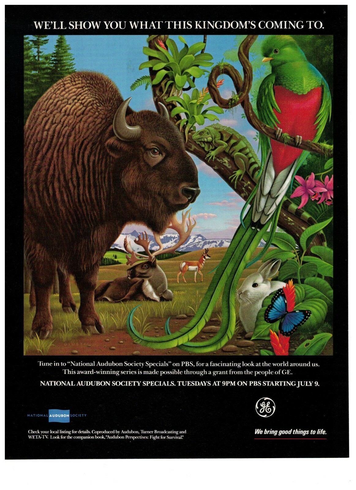 Vintage Print Advertisement 1991 General Electric Audubon Society PBS Sponsor