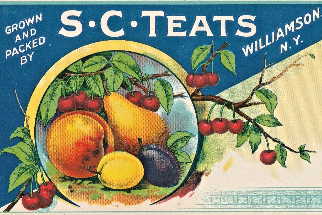 S C TEATS FRUIT CRATE LABEL Peaches Pears Plums Cherries Williamson New York