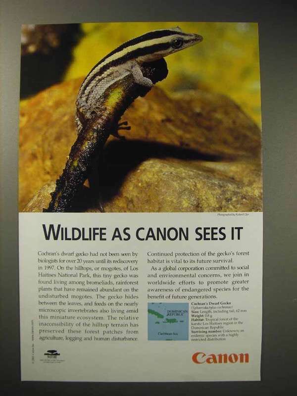 2001 Canon Ad – Cochran’s Dwarf Gecko