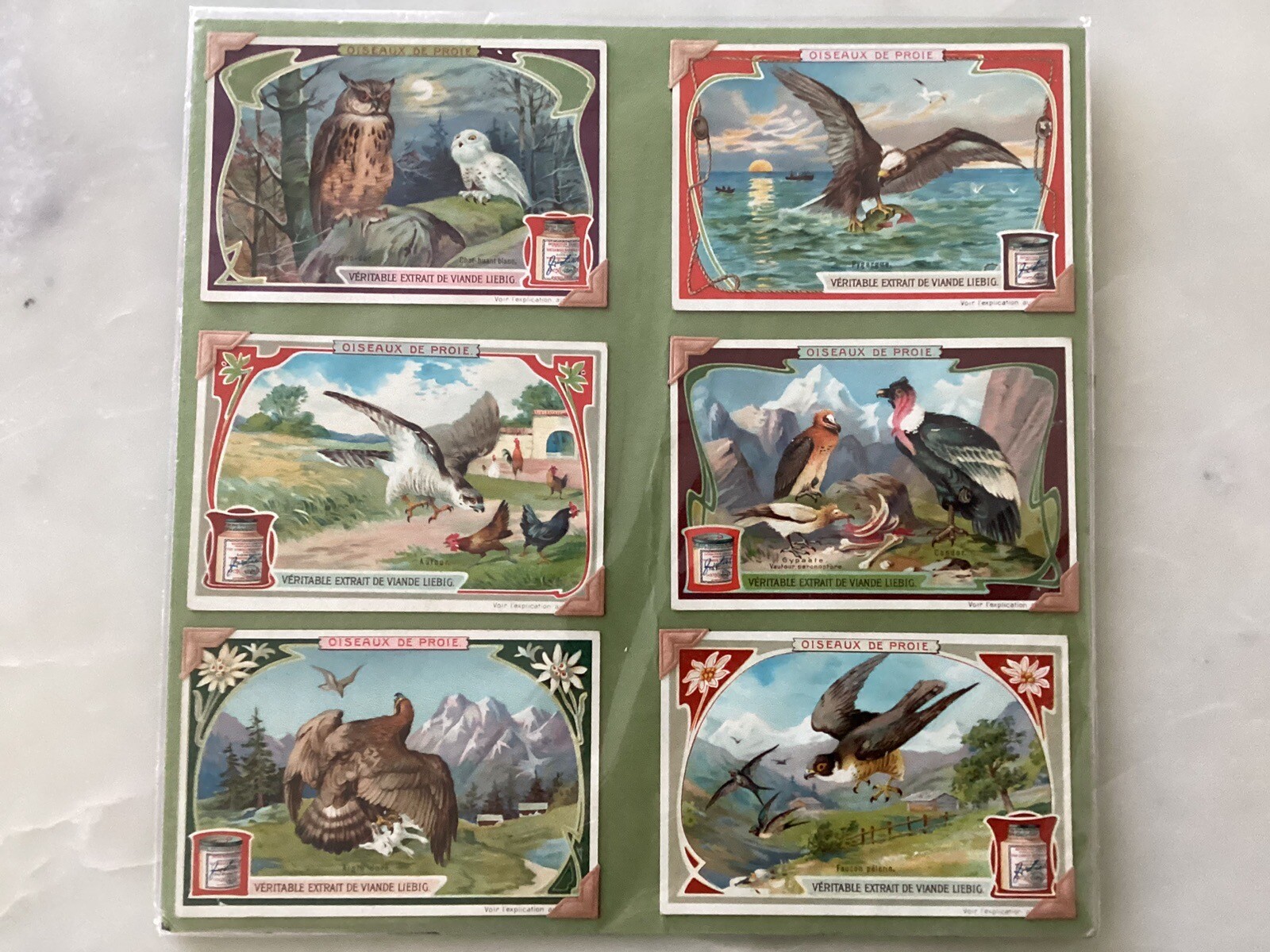LIEBIG TRADE CARDS, BIRDS OF PREY 1906 Set of 6 Cards (S872 French).