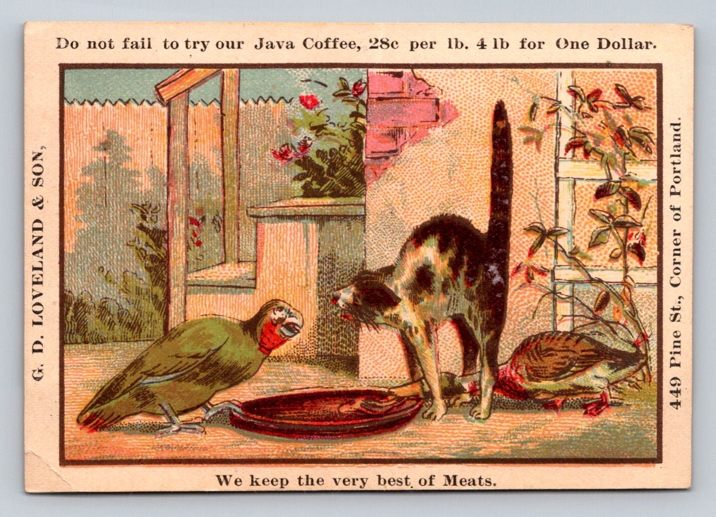 Cat Parrot Duck G D Loveland Fine Groceries Provisions Trade Card P467