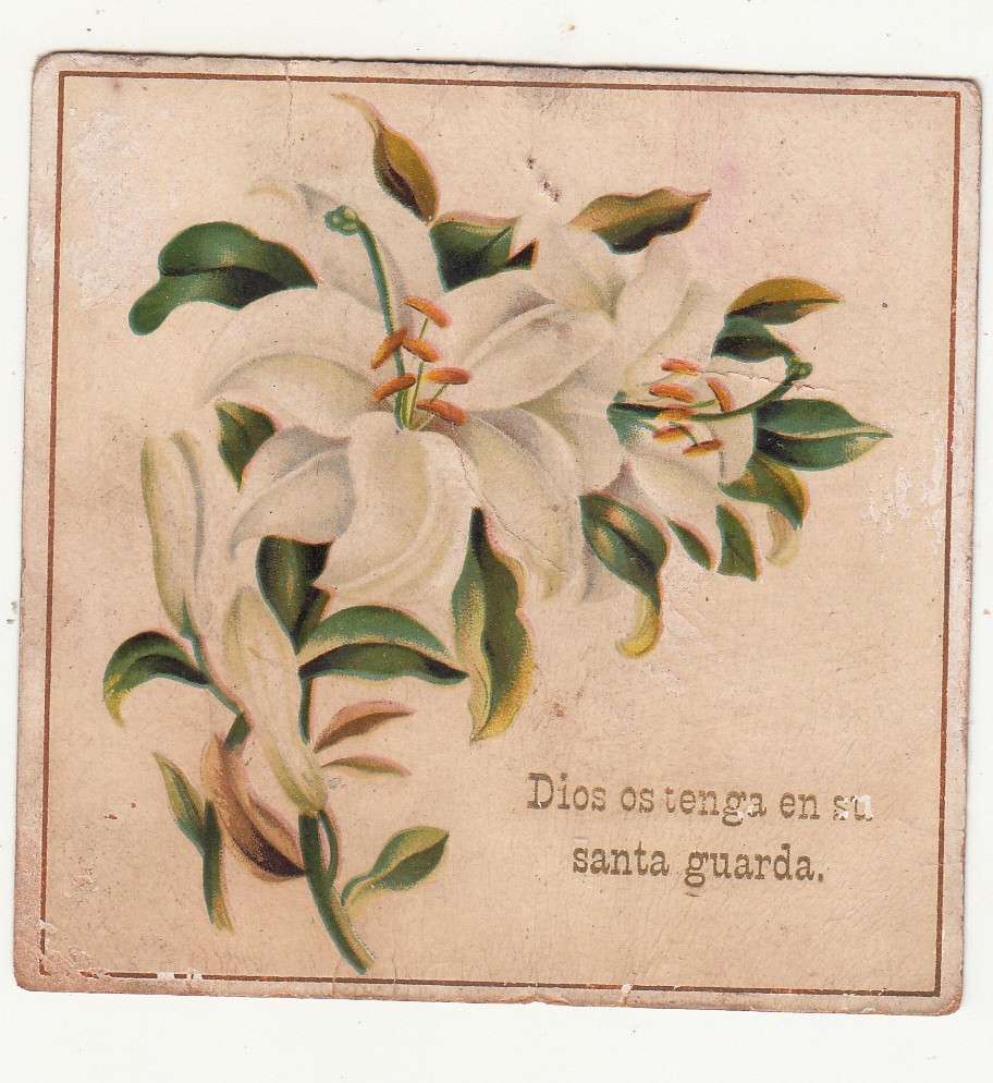 Dios Os Tenga En Santa Guarda White Flowers Raphael Tuck Vict Card c1880s