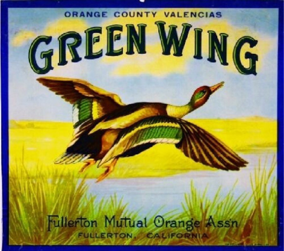 Green Wing Orange Fullerton Citrus Fruit Crate Mallard Duck Label Art Print