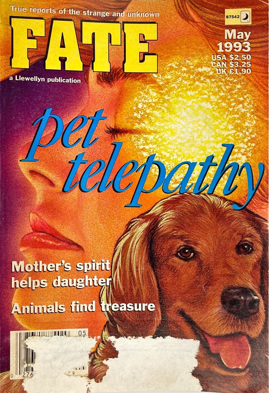 Pet Telepathy Spirit Animals Mother’s Help Complete May 1993 Vtg Fate Magazine