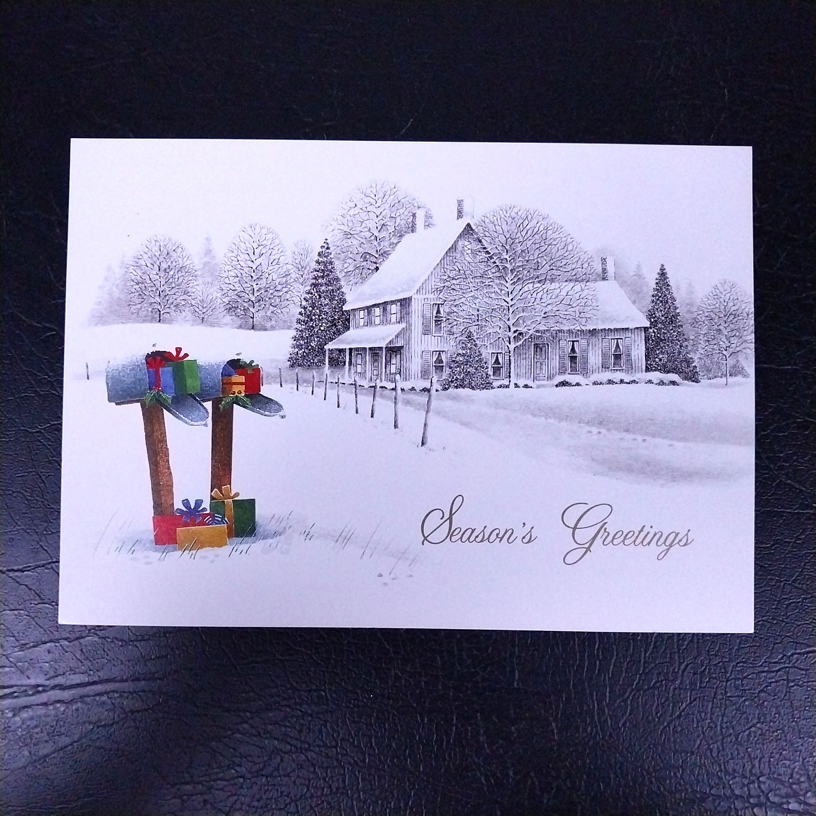 NGS Christmas Card Sample Advertisement – Holiday Gifts 2A76