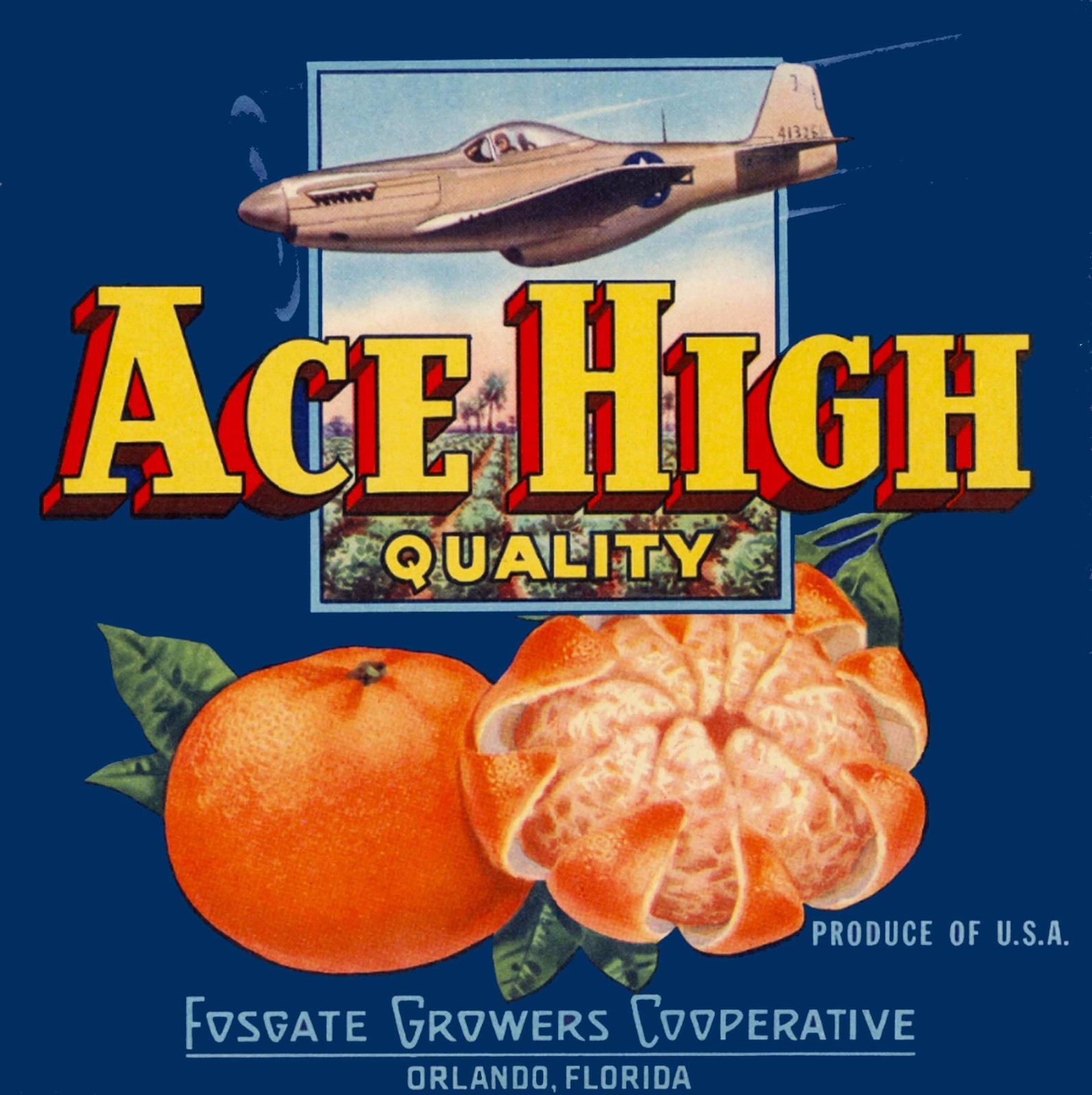 Orlando Florida Ace High Quality Brand Orange Citrus Fruit Crate Label Print