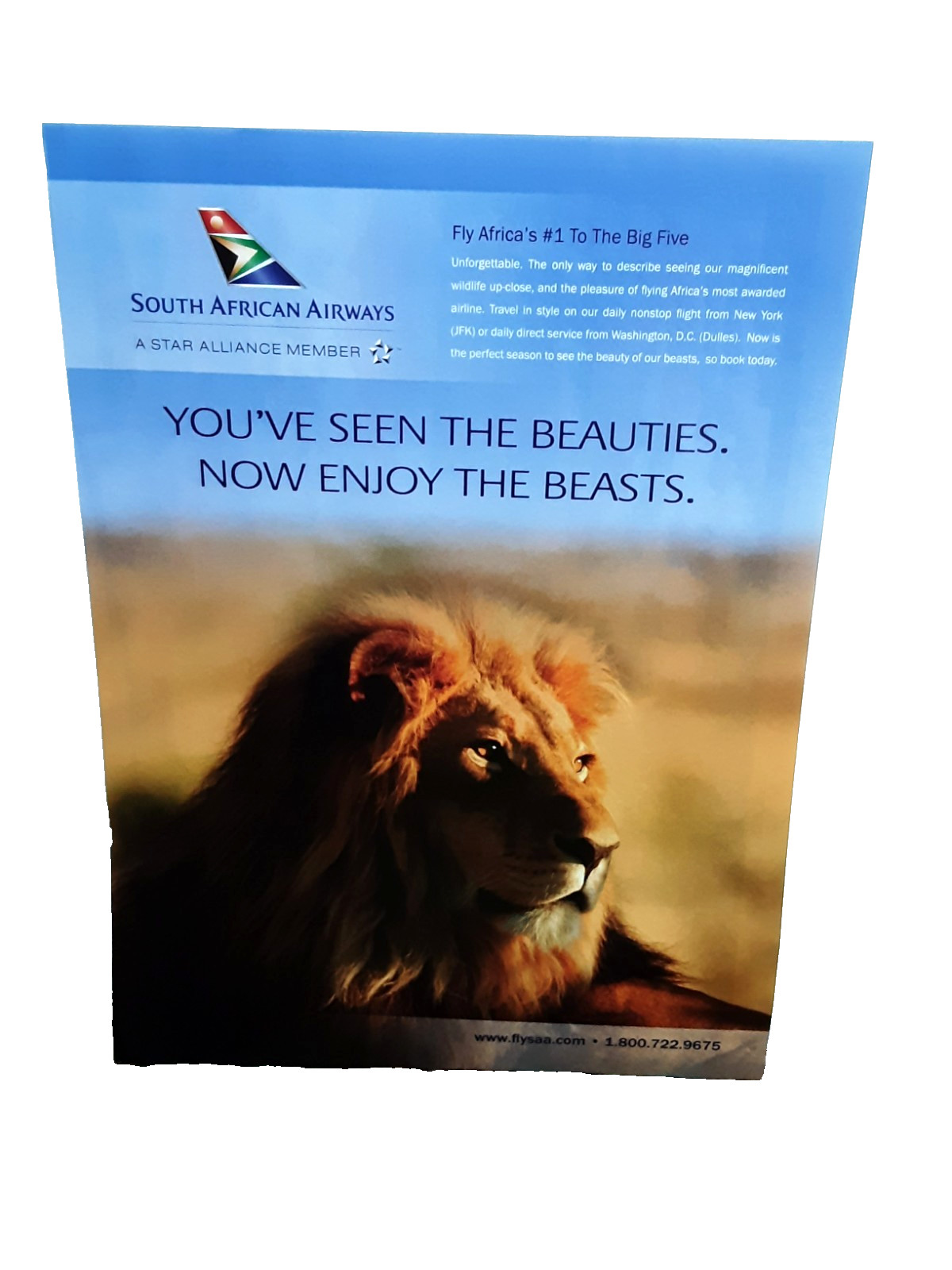 2012 South African Airways Lion Print Ad Vintage Travel Airline Africa Safari
