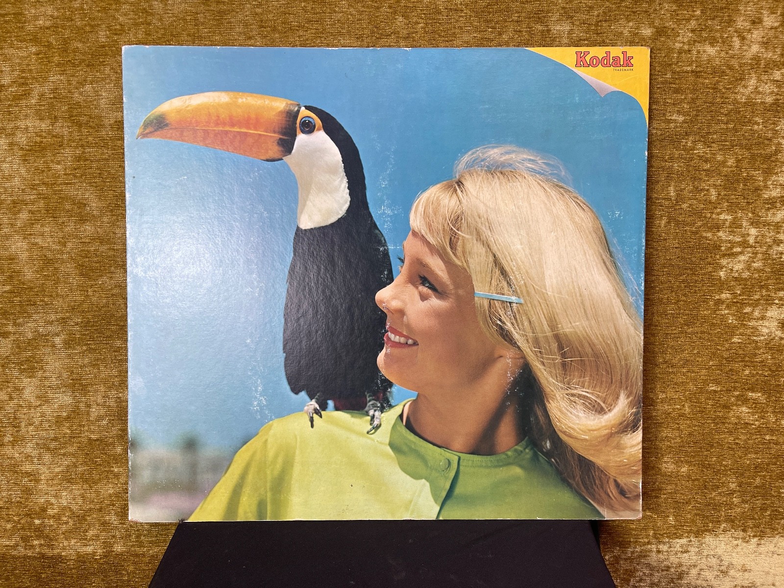 Peter Gales 1950s (Original Color Print) 18×20 Advertising for Kodak