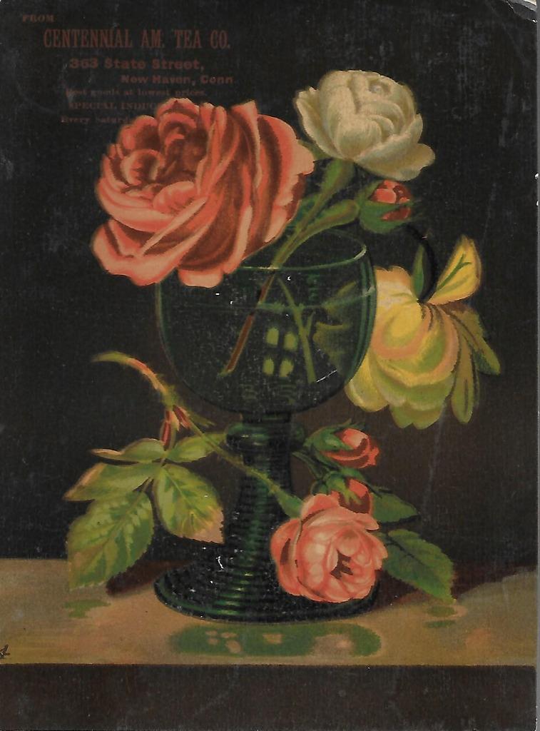 TRADE CARD- CENTENNIAL AM TEA CO., 363 STATE STREET, NEW HAVEN, CONN # 4