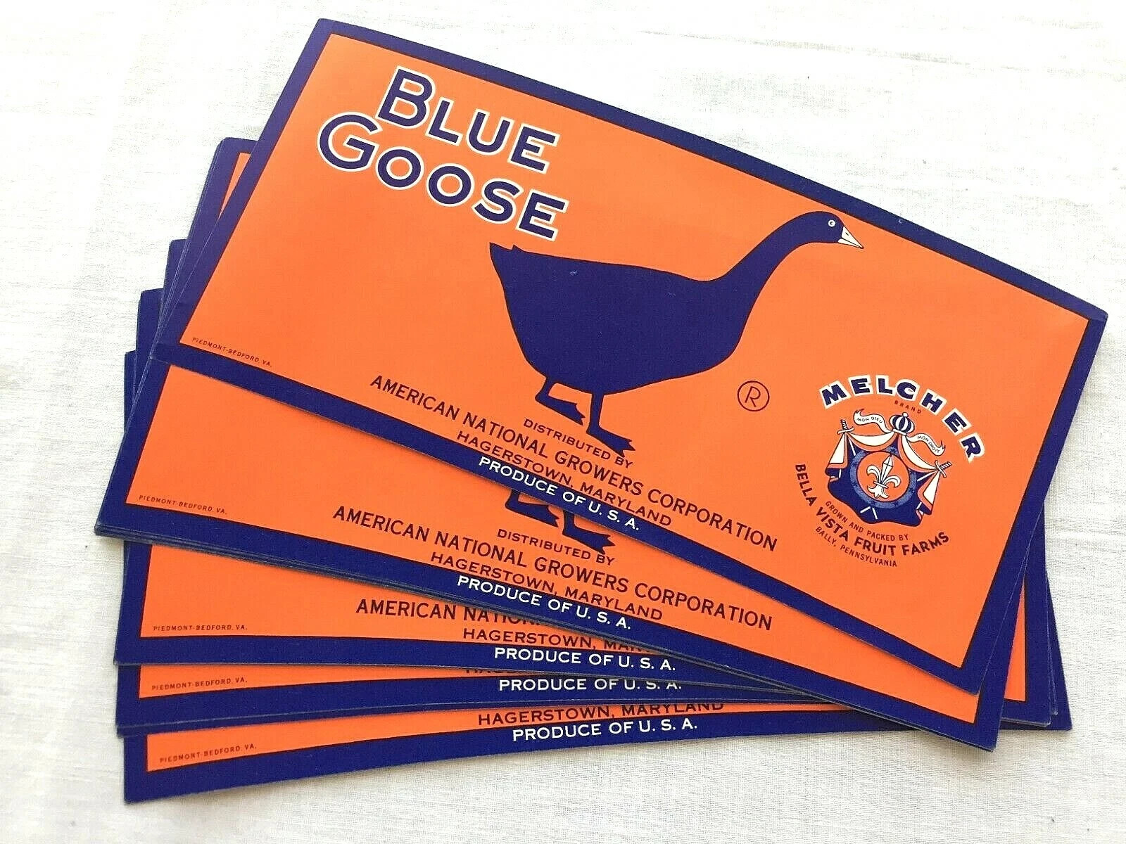 25 BLUE GOOSE vintage fruit crate labels Melcher Bally PA unused old stock