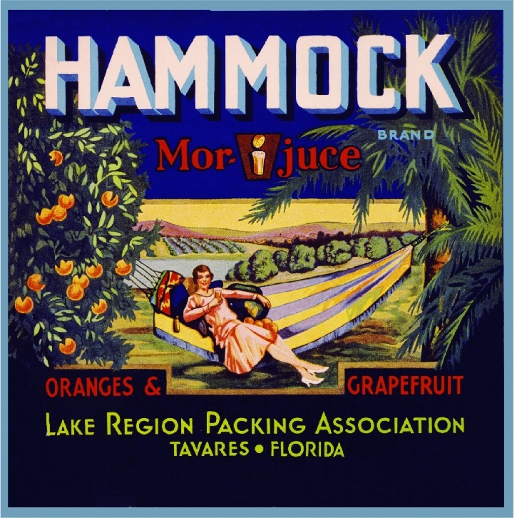 Tavares Florida Hammock Orange Citrus Fruit Crate Label Vintage Art Print