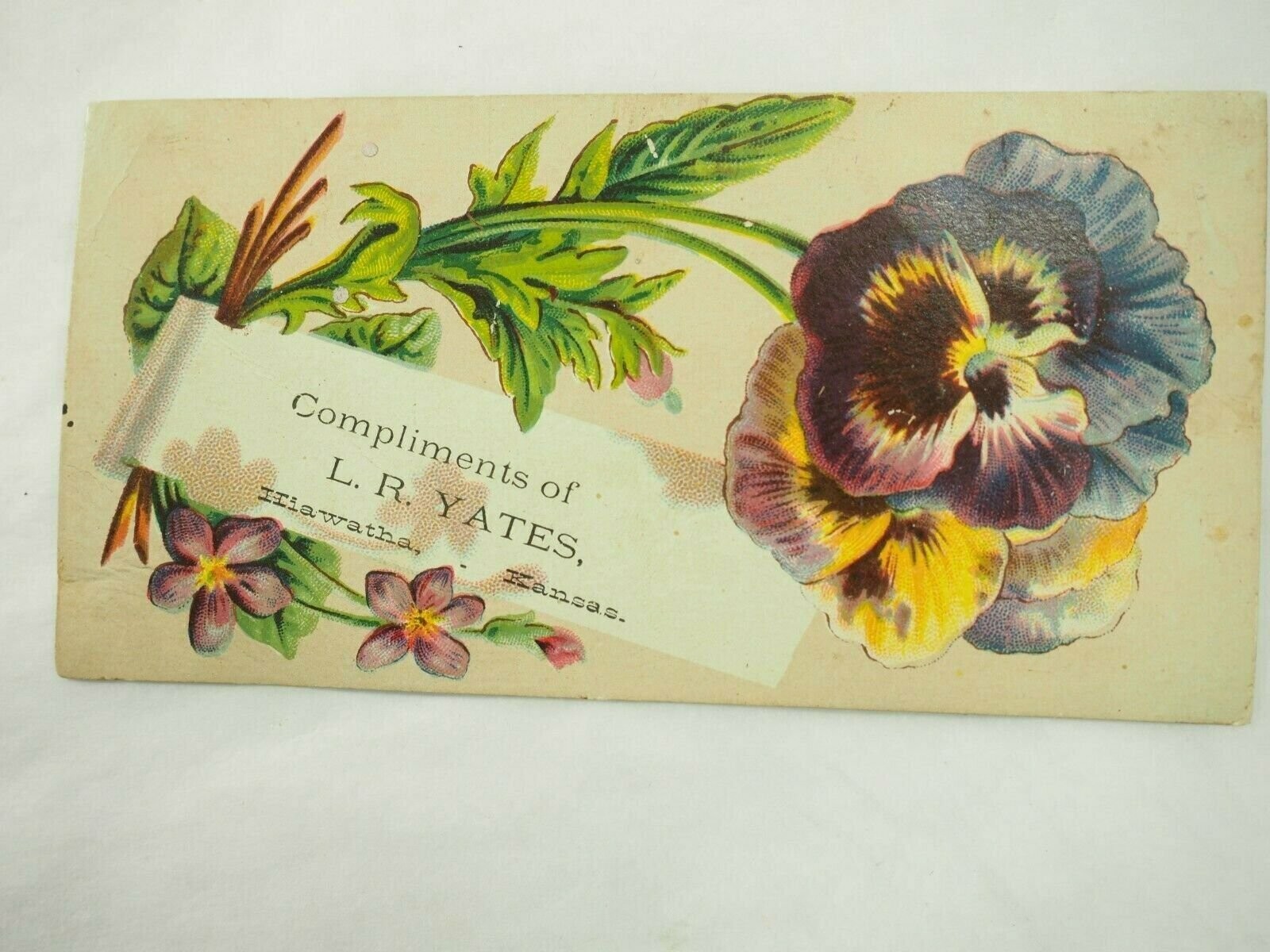 L.R.Yates Dealer in Drugs,Oils,and Misc Books Victorian Trade Card 2.5″ x 5″