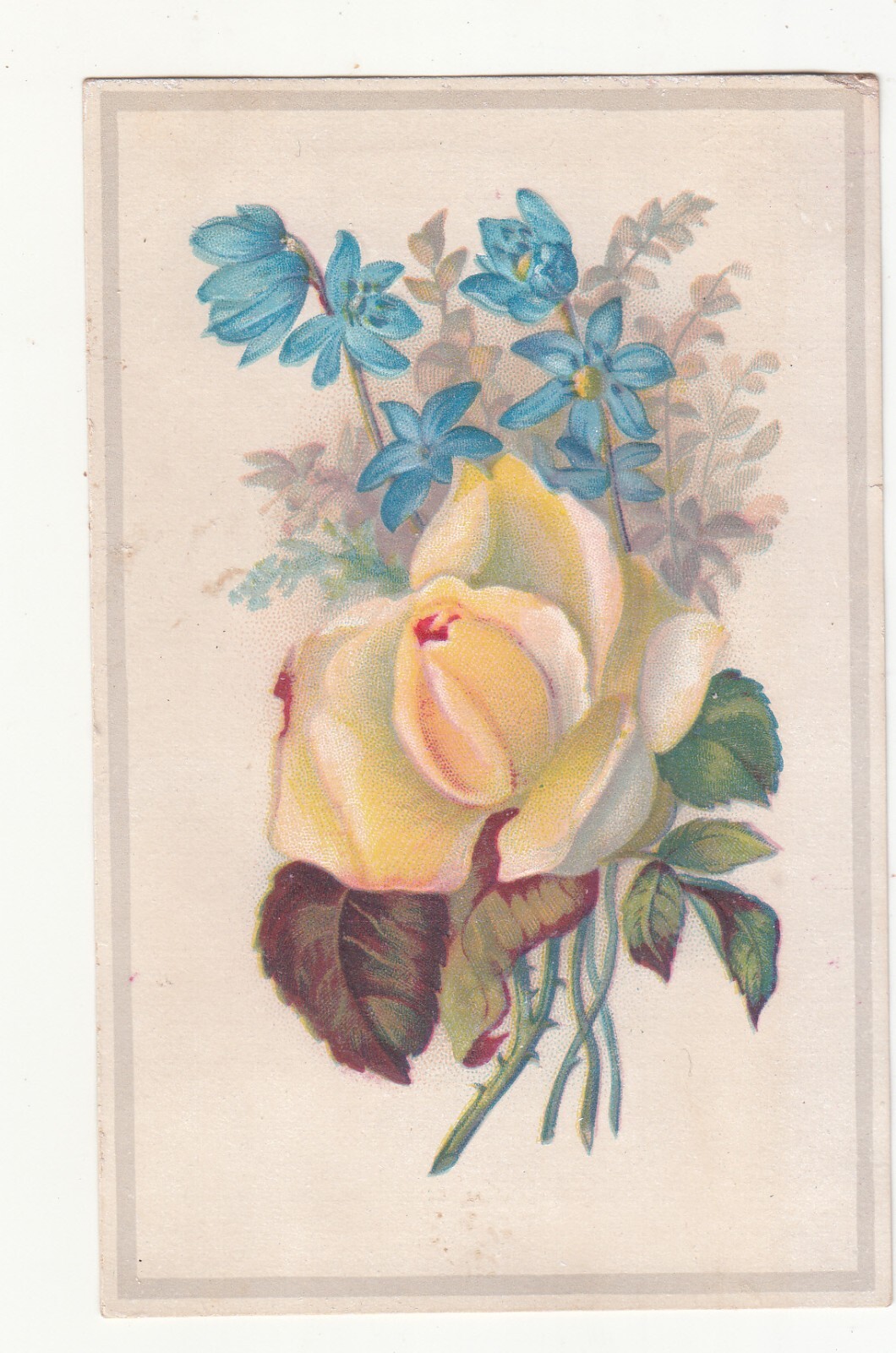 Yellow Rose Blue Flowers Embossed No Advertising Vict Card c1880s