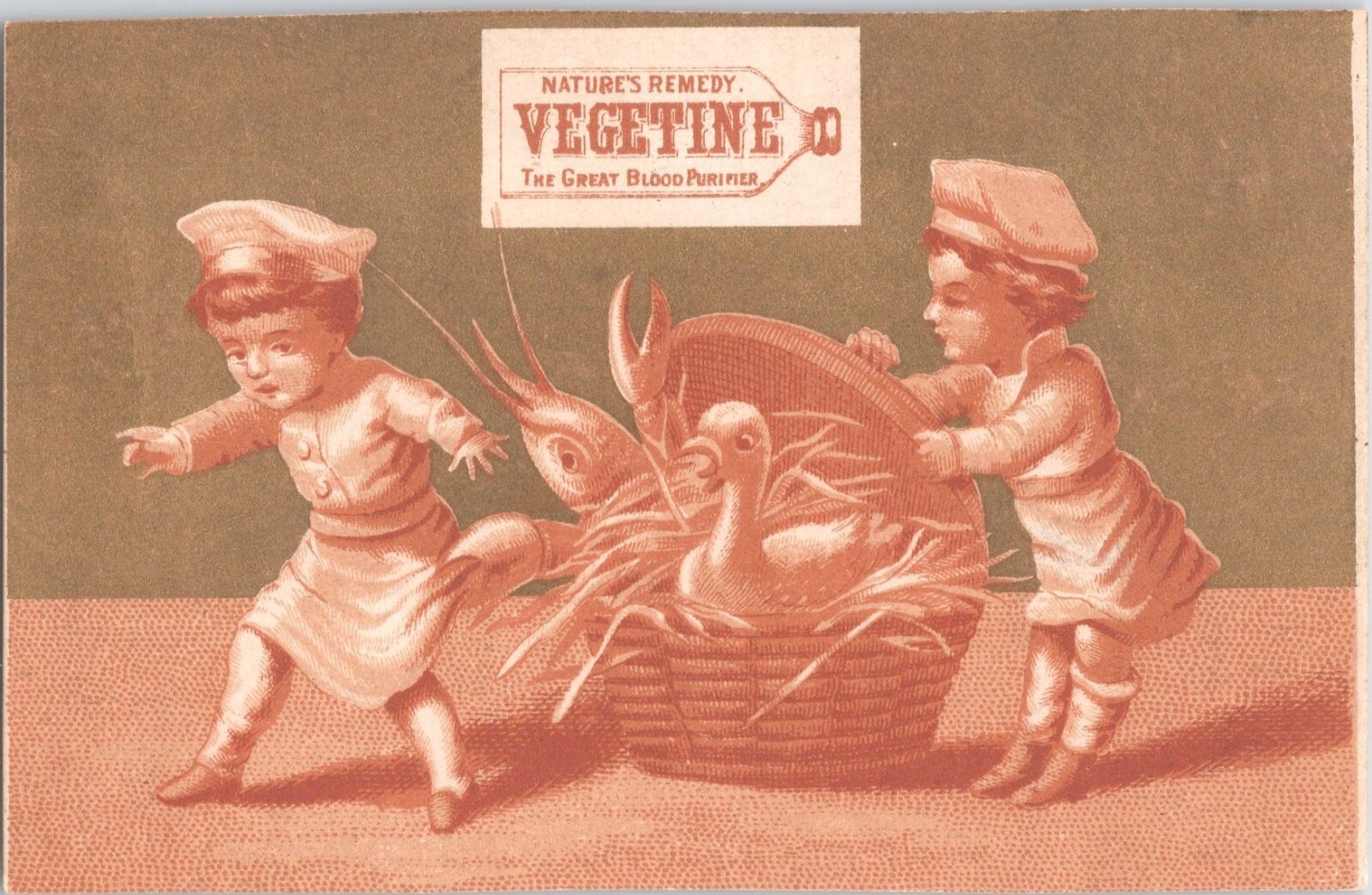 Vegetine – Nature’s Remedy – Antique Victorian Trade Card – Toddler Chefs